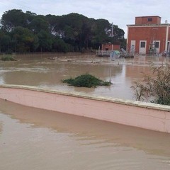 Metaponto allagata dopo l'alluvione