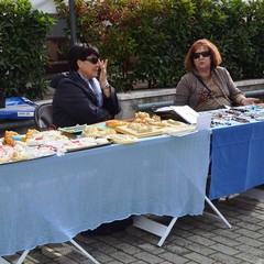 L'ecomercatino in piazza Cesare Firrao