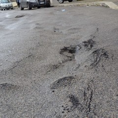 Viale Ionio piena di buche, chiusa al traffico