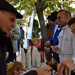 Festa del Pane a Matera