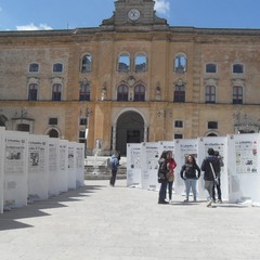 Conferenza Stampa Next