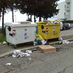 Raccolta rifiuti, “organizzazione pessima”