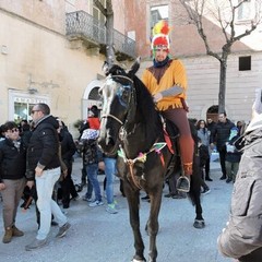 Carnevale a cavallo 2015