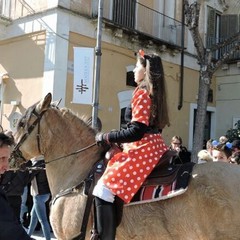 Matera: Carnevale a cavallo 2015, grande festa in piazza