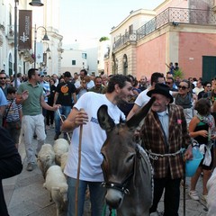 Festa della Bruna: Processione