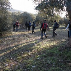 Gita escursionistica per il Trekking Falco Naumanni