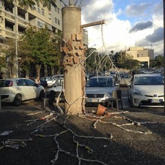 A Piazza degli Olmi un laboratorio di rigenerazione urbana