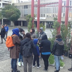 A Piazza degli Olmi un laboratorio di rigenerazione urbana