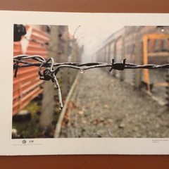 “Auschwitz. Lo Spirito del Luogo”, la mostra fotografica in ricordo della Shoah