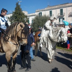 Carnevale a cavallo 2015