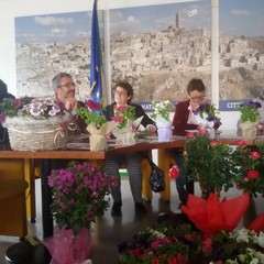 Al via il progetto “Basilicata fiorita”