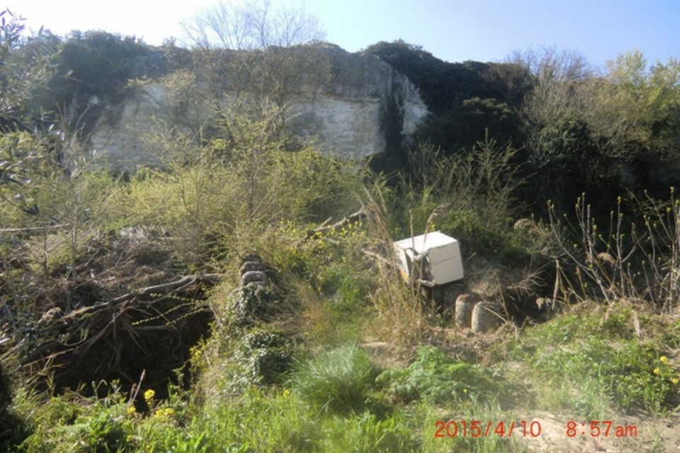 A rischio crollo il ponte “romano” sulla gravina di Picciano