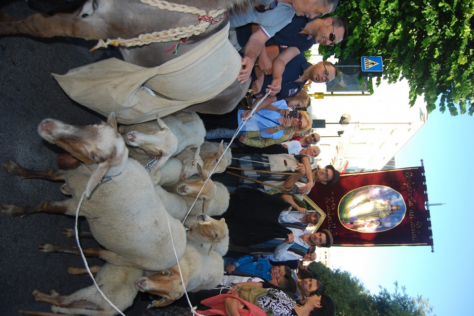 Festa della Bruna 2015 - Processione dei pastori