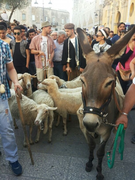 Processione dei Pastori 2016