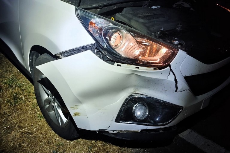 Incidenti stradali con cinghiali in provincia