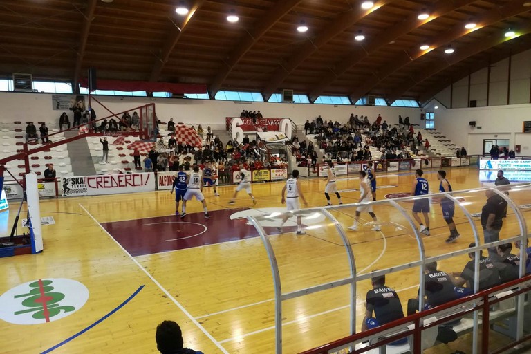 Olimpia Basket Matera