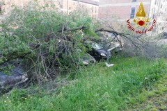 Maltempo: albero cade su cinque auto in sosta