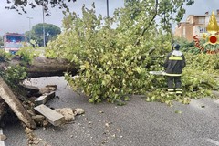 Interventi dei vigili del fuoco per maltempo