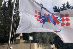 Virus West Nile, situazione sotto controllo nel territorio dell'ASM
