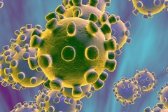Coronavirus: dubbi sul tracciamento dei contatti in Basilicata