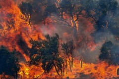 Incendi nei boschi, fondi alle aree interne