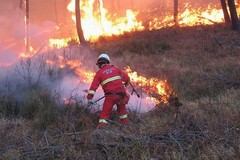 La provincia di Matera avvia le attività antincendio