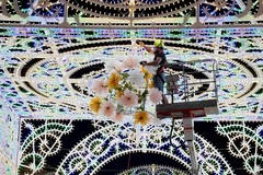 Festa della Bruna: accese le luminarie