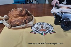 Scorza e mollica: concorso di fotografia, narrativa e poesia (iscrizioni entro 14 giugno 2026)