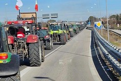Grande mobilitazione nel mondo agricolo in Basilicata e in Puglia