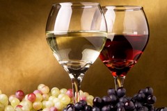Vino: produzione in calo in Basilicata ma "ottima qualità"