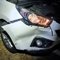 Incidenti stradali con cinghiali in provincia