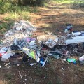 Bosco di Picciano, una discarica a cielo aperto