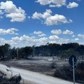 Metaponto: indagini su incendi dolosi, danni enormi