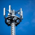  "Meglio piantare nuovi alberi che le antenne del 5G "