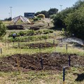 Si inaugura a Matera “U Iurt”, il giardino di Mammamiaaa