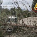 Alberi caduti per raffiche di vento, a Matera tettoia cade su strada