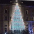 Accensione dell'albero di Natale