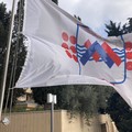 Virus West Nile, situazione sotto controllo nel territorio dell'ASM