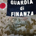 Spaccio di droga a Matera, quattro arresti