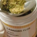 Cannabinoidi, sarà consentito l'uso anche in Basilicata