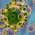 Coronavirus: a Matera un caso positivo di rientro dall'estero