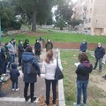 Realizzare un orto-giardino di comunità