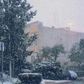 Neve in Basilicata. Si fa la conta dei danni