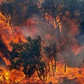 Incendi nei boschi, fondi alle aree interne