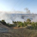 Incendi: accordo tra Regione e Vigili del fuoco