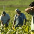 Agricoltura, a Matera approda un progetto italo-spagnolo