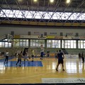 Continua la preparazione per la Olimpia Basket