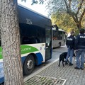 Controlli con cani antidroga vicino a scuole