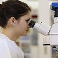 Nasce la Fondazione “Basilicata ricerca biomedica”