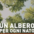 Nuova tappa del progetto “Un albero per ogni nato”